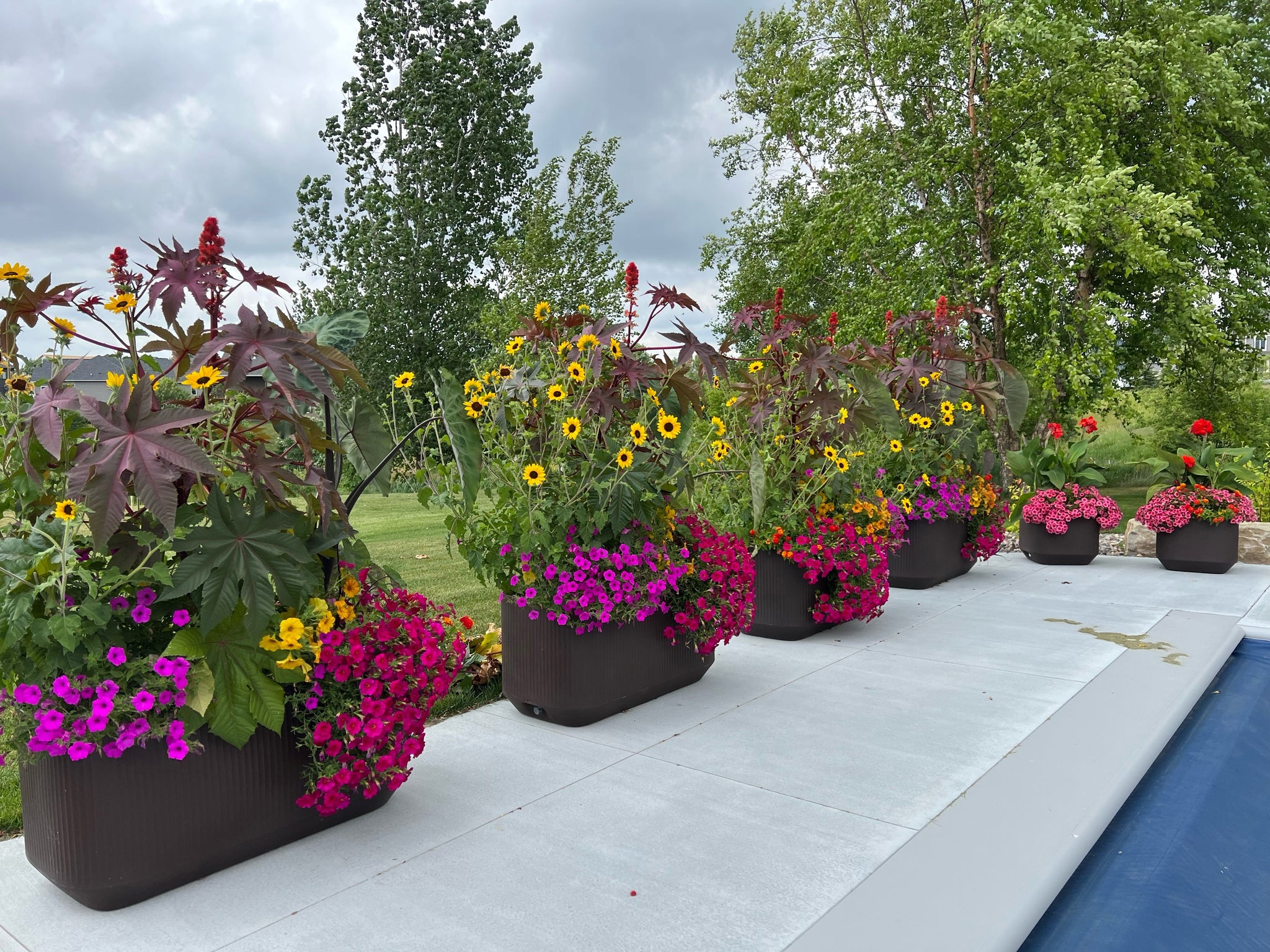 Modular Large Trough