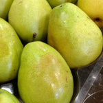 Pear Anjou Anjou Pear
