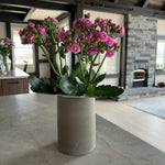 Artisan Multi-Use Vase