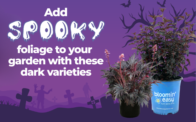 Spooky Foliage