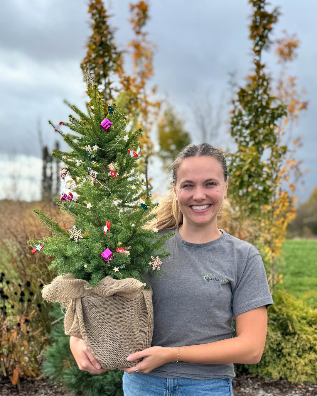 Christmas Urn Insert - White Spruce