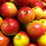 Apple McIntosh McIntosh Apple