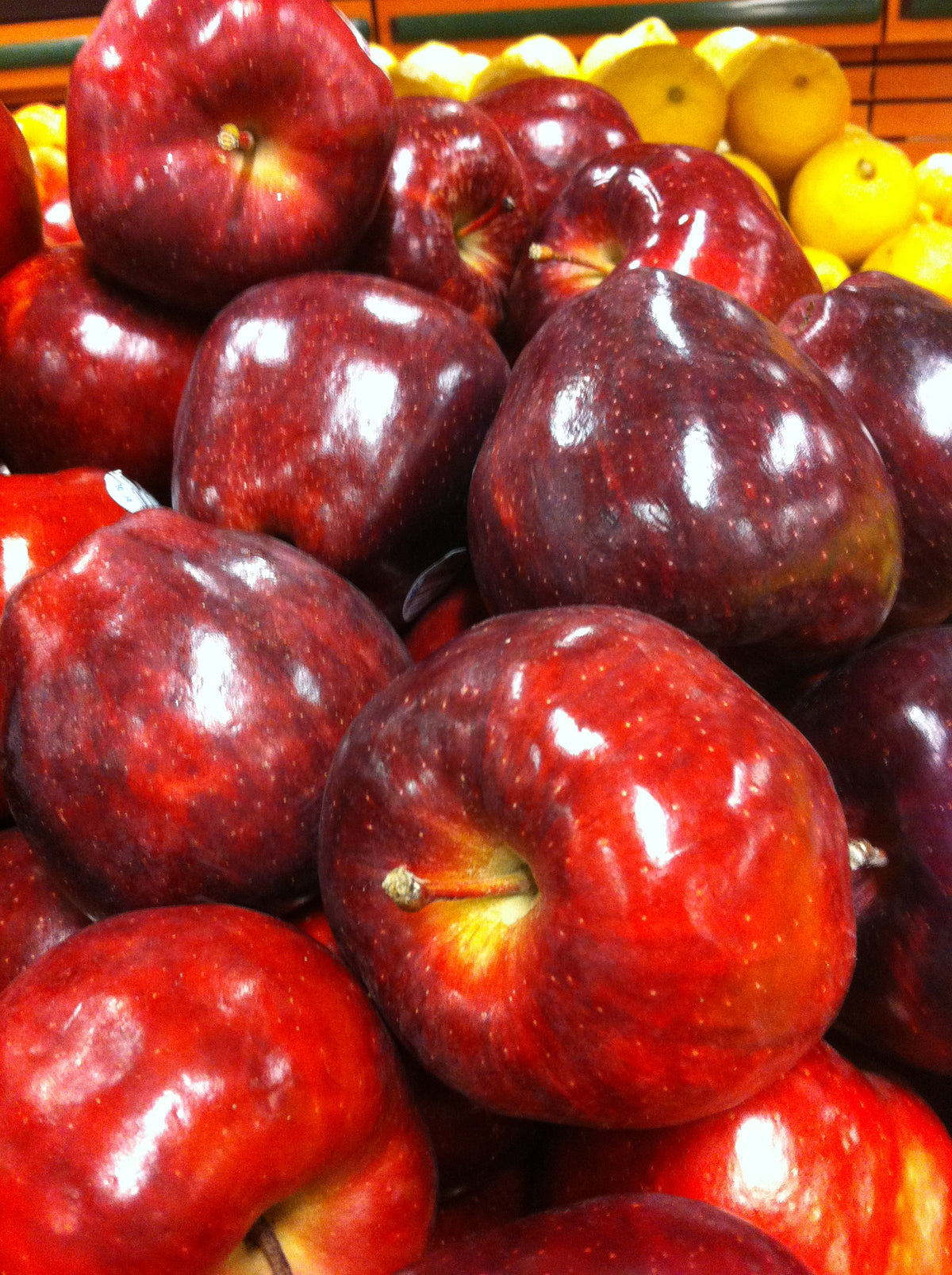 Red Delicious Red Delicious Apple β GardenTap