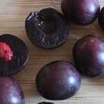 Cherry Plum Sapalta Sapalta Cherry Plum