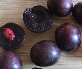Cherry Plum Sapalta Sapalta Cherry Plum