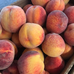 Peach Baby Gold 5 Baby Gold 5 Peach