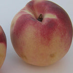 Peach White Lady White Lady Peach