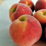 Peach Harrow Diamond Harrow Diamond Peach
