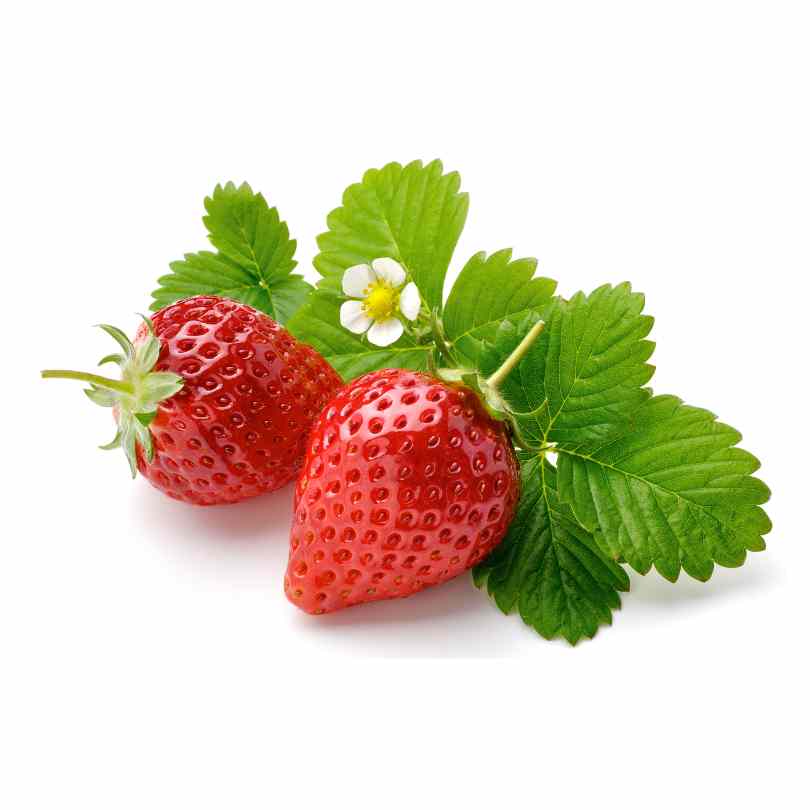 Strawberry Basket