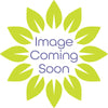 Hydrangea paniculata Pinky Winky Prime USPP 35,334 Pinky Winky Prime&reg Hydrangea