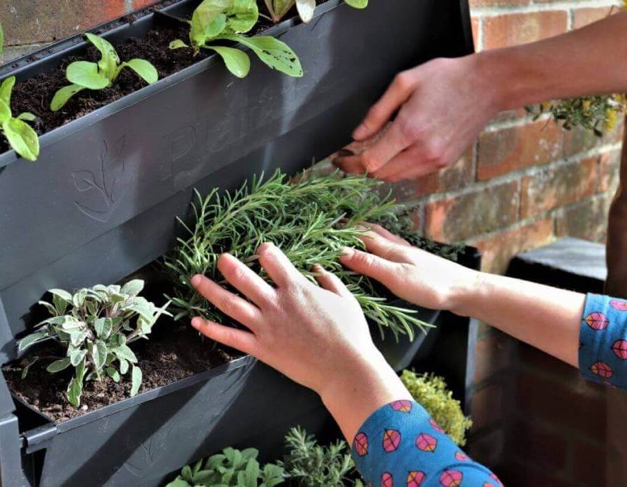 PlantBlox Vertical Garden